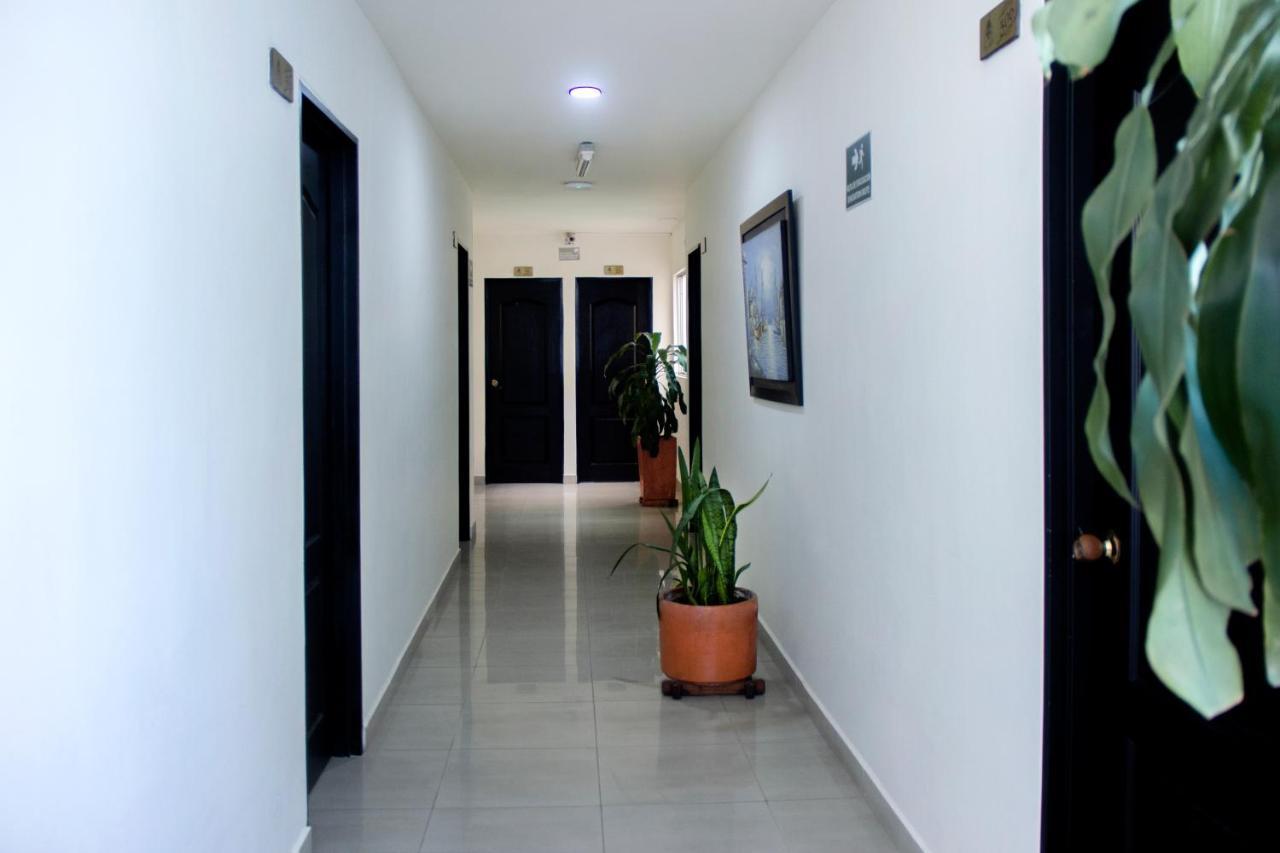 Hotel Plazuela San Ignacio Μεντεγίν Εξωτερικό φωτογραφία