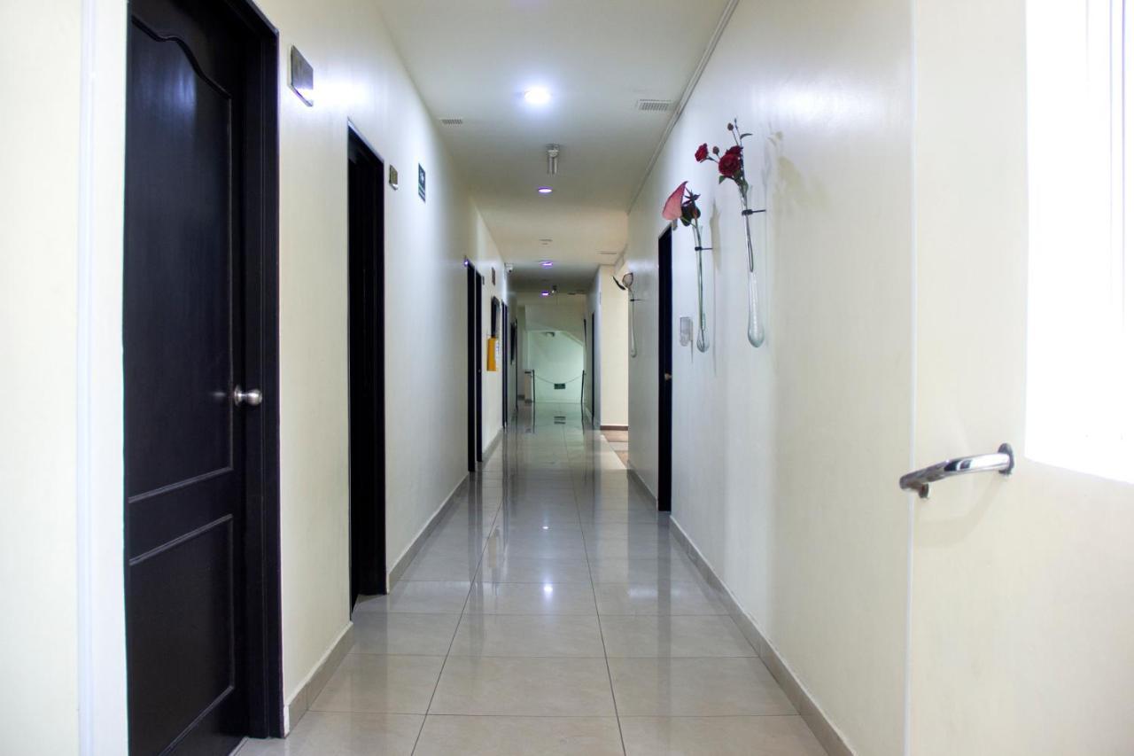 Hotel Plazuela San Ignacio Μεντεγίν Εξωτερικό φωτογραφία